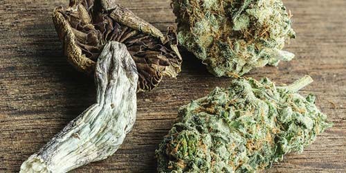 Booze and Drugs: Which Drugs can (not) be Combined?