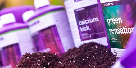 Plagron Feed Chart for Growing Cannabis