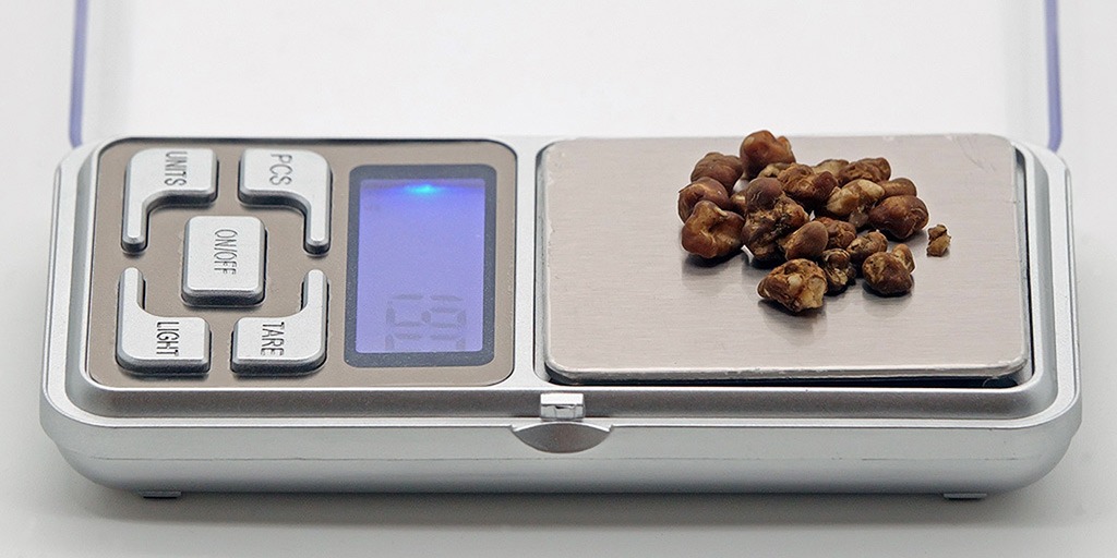 A scale with a microdose of magic truffles.