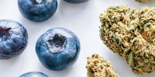 How to Make Weed Taste Better In 8 Steps